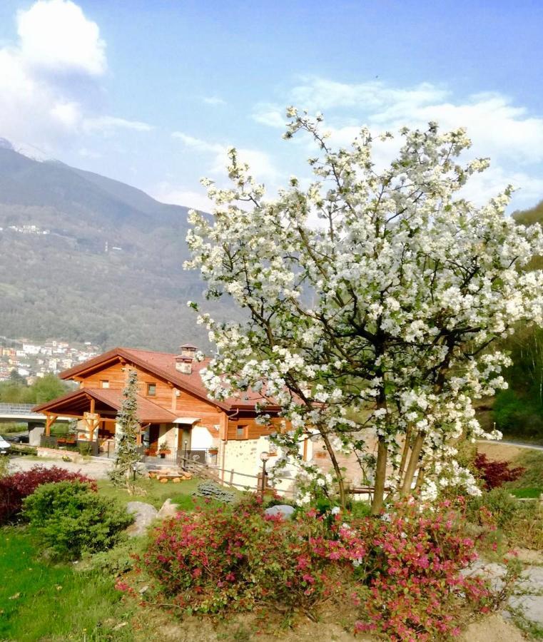 Valtili Berzo